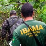 Ibama abre concurso com mais de 1.100 vagas e salários de até R$ 6 mil