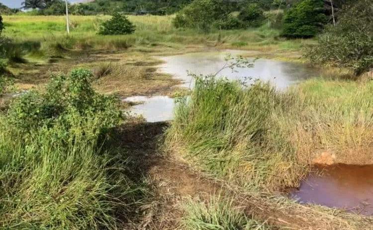 Vazamento no aterro sanitário de Camaçari provoca danos ambientais