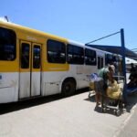 Salvador terá uma das tarifas de ônibus mais caras entre capitais brasileiras