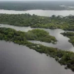 Preservação da Amazônia é prioridade do governo Lula na COP27