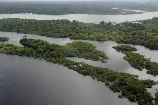 Preservação da Amazônia é prioridade do governo Lula na COP27