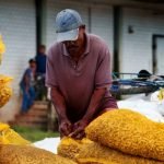 Feira de São João na Ceasa traz produtos tradicionais a preços acessíveis