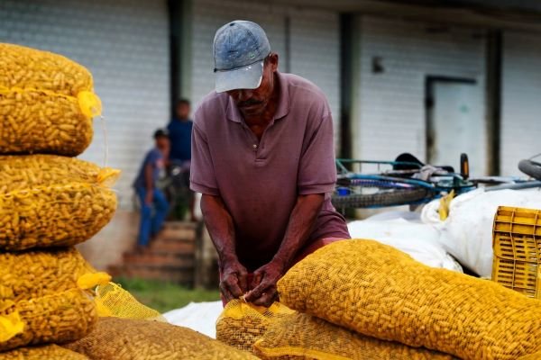 Feira de São João na Ceasa traz produtos tradicionais a preços acessíveis