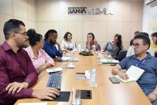 Sema e Inema alinham ações de combate ao desmatamento ilegal no cerrado baiano