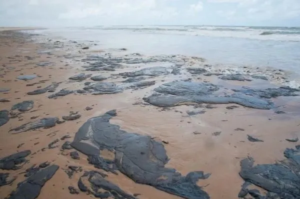 Reunião define ações para combater novas manchas de óleo em praias baianas