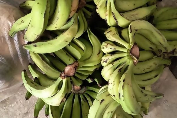 Banquetaço Bahia une esforços e apoio coletivo contra a fome
