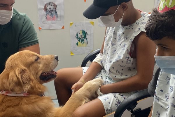 Cão terapeuta auxilia crianças e adolescentes em tratamento no Martagão