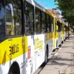 Prefeitura de Salvador reativa linhas de ônibus suspensas e amplia itinerários