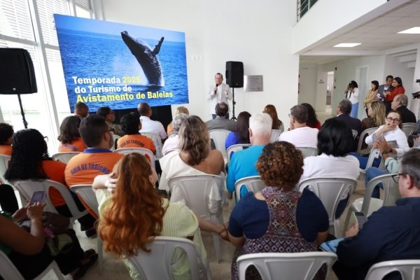 Bahia abre temporada de avistamento de jubartes e reforça turismo sustentável no litoral