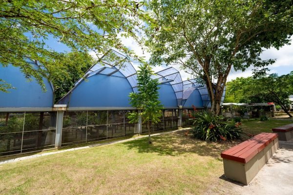 Camaçari abre inscrições para eleição do Conselho de Meio Ambiente