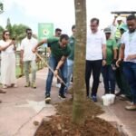 Bruno Reis vende transplante como se fosse plantio de árvores em Salvador
