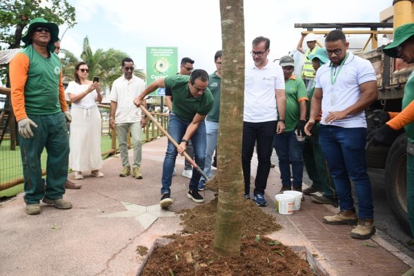 Bruno Reis vende transplante como se fosse plantio de árvores em Salvador