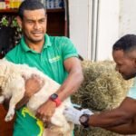 Campanha de Vacinação Antirrábica para cães e gatos continua em Camaçari