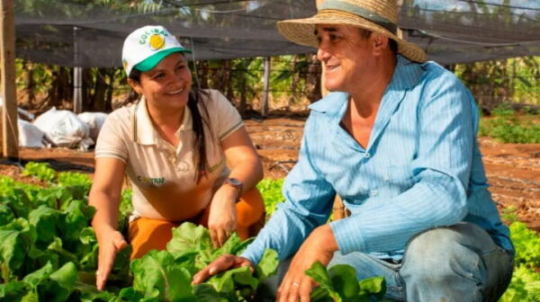 Agricultura Familiar