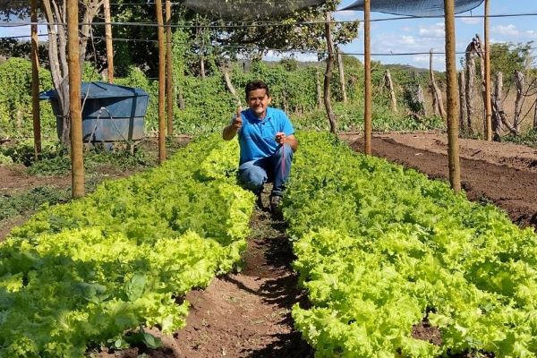 Agricultura São Desidério