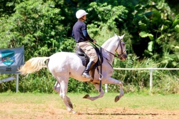 Cavalaria da PM celebra 190 anos