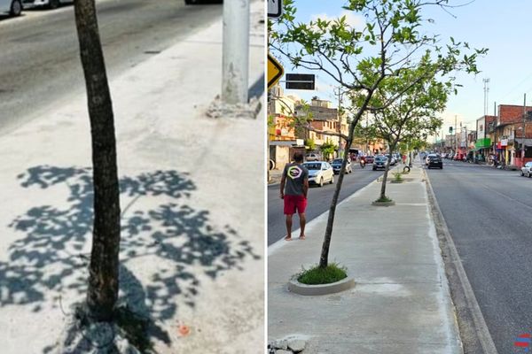 Plantio André Fraga