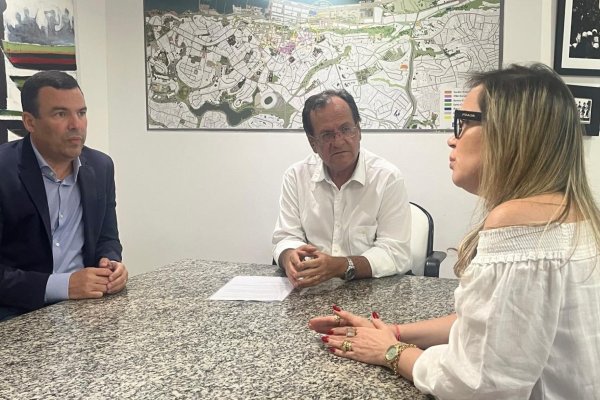 Stelitano e Bacellar